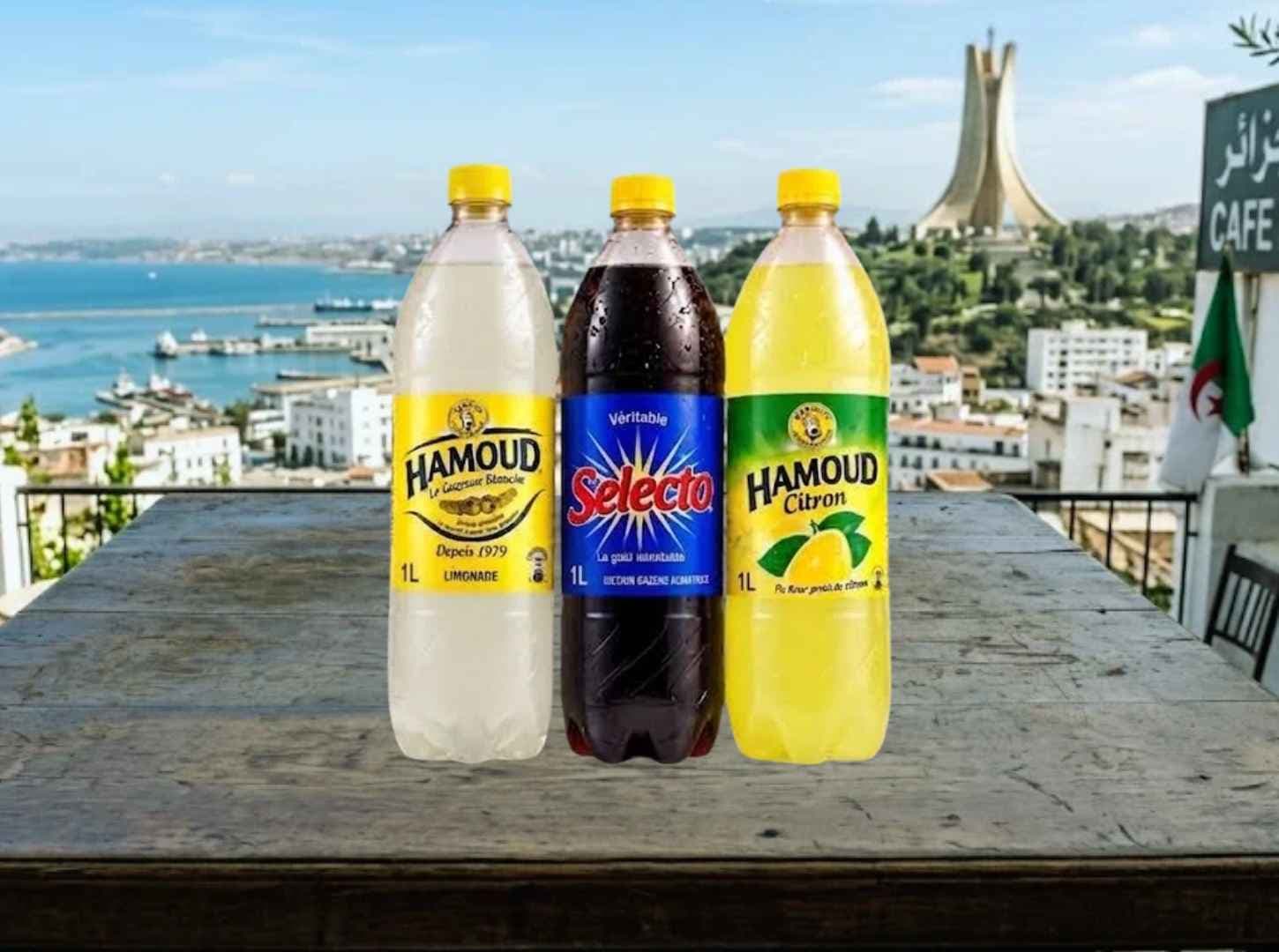 Sélection Hamoud - Selecto en bouteilles - 6 x 1 L